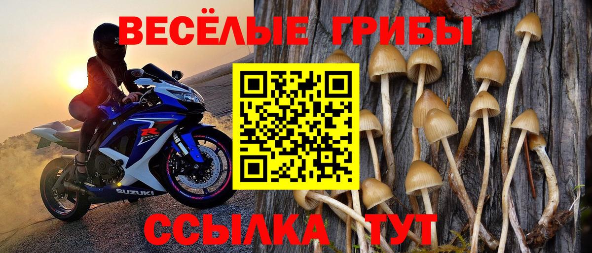 Галлюциногенные грибы мицелий Тайшет