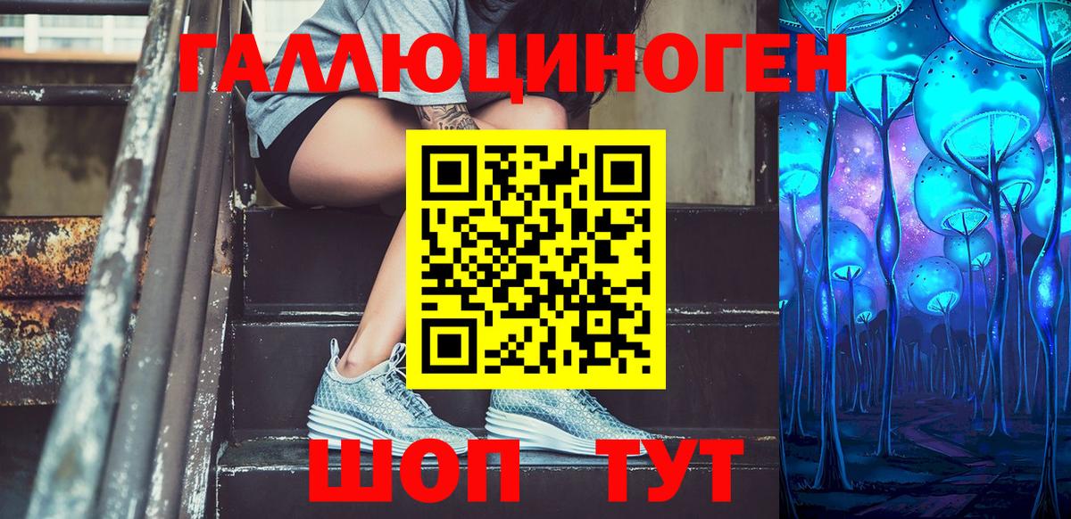Галлюциногенные грибы Cubensis  Галлюциногенные грибы GOLDEN TEACHER  где найти   Тайшет  Вход с VPN 